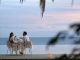 Neue Dinner Hotspots auf Huvafen Fushi