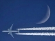 Travel Advisor Trade Group Weighs In on Air Travel Competition in Response to Inquiry