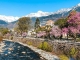 Frühling in Meran, wo glitzernder Schnee und mediterranes Klima aufeinandertreffen