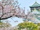 Spezialreiseveranstalter Wainando Travel expandiert nach Japan