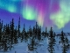 Tuja Reisen stellt Winterprogramm 2025/26 für Finnisch-Lappland vor
