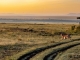 Kenia kennenlernen mit Naturerlebnissen zwischen Savanne und Kilimanjaro