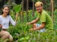 TUI Care Foundation Launches Green Financing Initiative in Laos