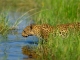ASA goes Africa: Zwei FAMtrips nach Botswana und Südafrika