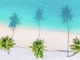 Enhanced opportunities for British Airways American Express® cardmembers