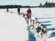 Wyldaway erweitert Programm mit Reisen nach Lappland, Vietnam und Indien