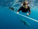 Walsaison lockt Besucher nach Tropical North Queensland