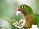 Bird Watching begeistert immer mehr Reisende