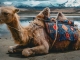 Eberhardt TRAVEL eröffnet neue Rundreise durch Xinjiang