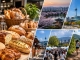Bread festivals turn South Korea into a bakery tourism destination