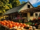 New England: Autumn escapes blend foliage, folklore and historic towns
