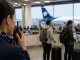Mexico: Aeroméxico and UNODC target human trafficking risks in tourism