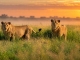 Namibia: Vestige eröffnet erste Afrika-Lodge im Khaudum-Nationalpark