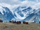 Mongolei: Gobi-Taiga-Traverse führt auf 3.600 Kilometern durch das Land