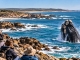 Uruguay eröffnet neue Wal- und Meerestierroute entlang seiner Atlantikküste