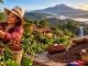 Nicaragua eröffnet neue Kaffeetourismusroute in Jinotega